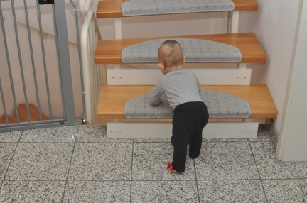 Greta testing out our new childproofed stairs